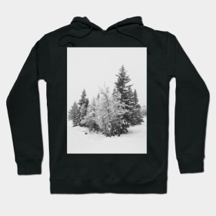 Snow-Covered Fir Trees in Frozen Winter Landscape in Black and White Hoodie